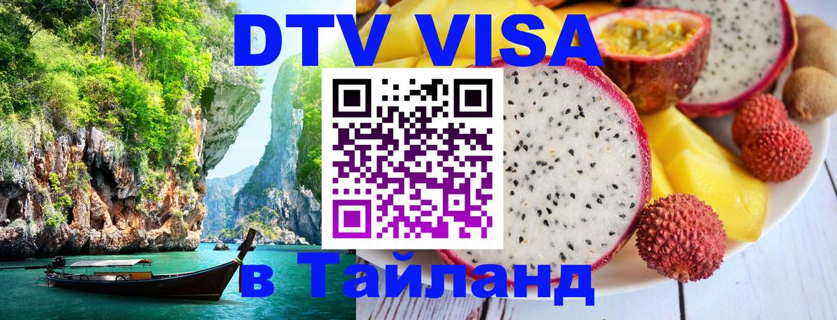Оформление DTV визы под ключ: стоимость и тарифы, только загранпаспорт - 05.12.2025 
